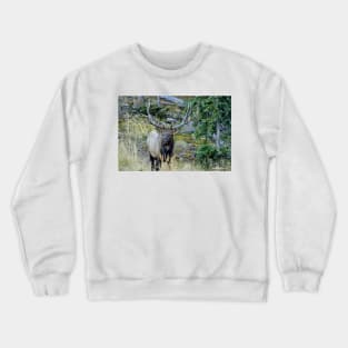 Elk Rut Crewneck Sweatshirt